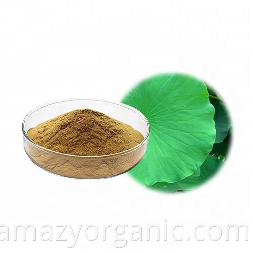 Pure Natural Nuciferine 2% 5% nelumbo nucifera Fresh Lotus Leaf Extract Powder